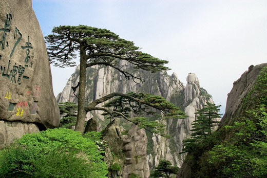 Huang Shan Song